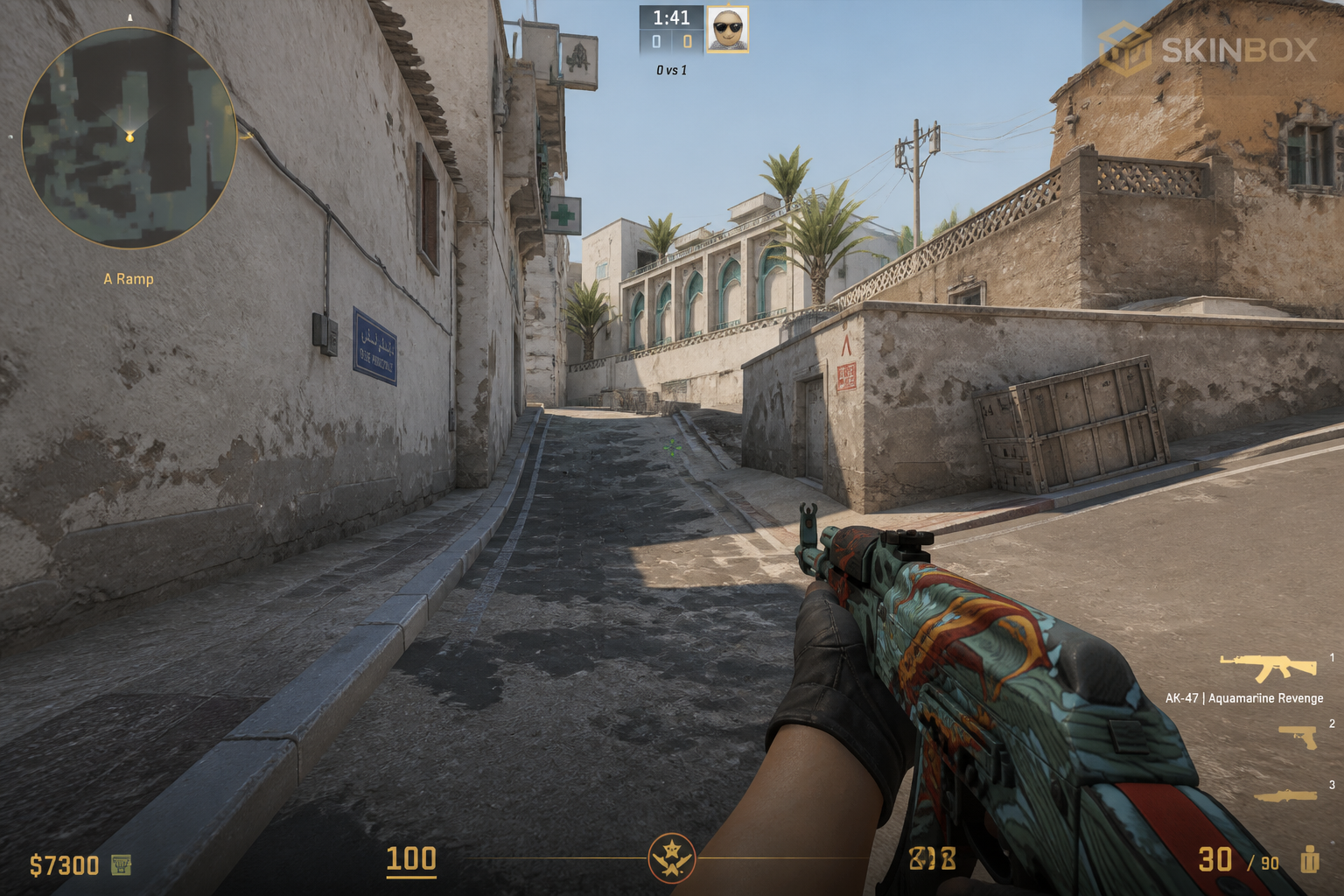 CS2 in-game 1080x1080 view