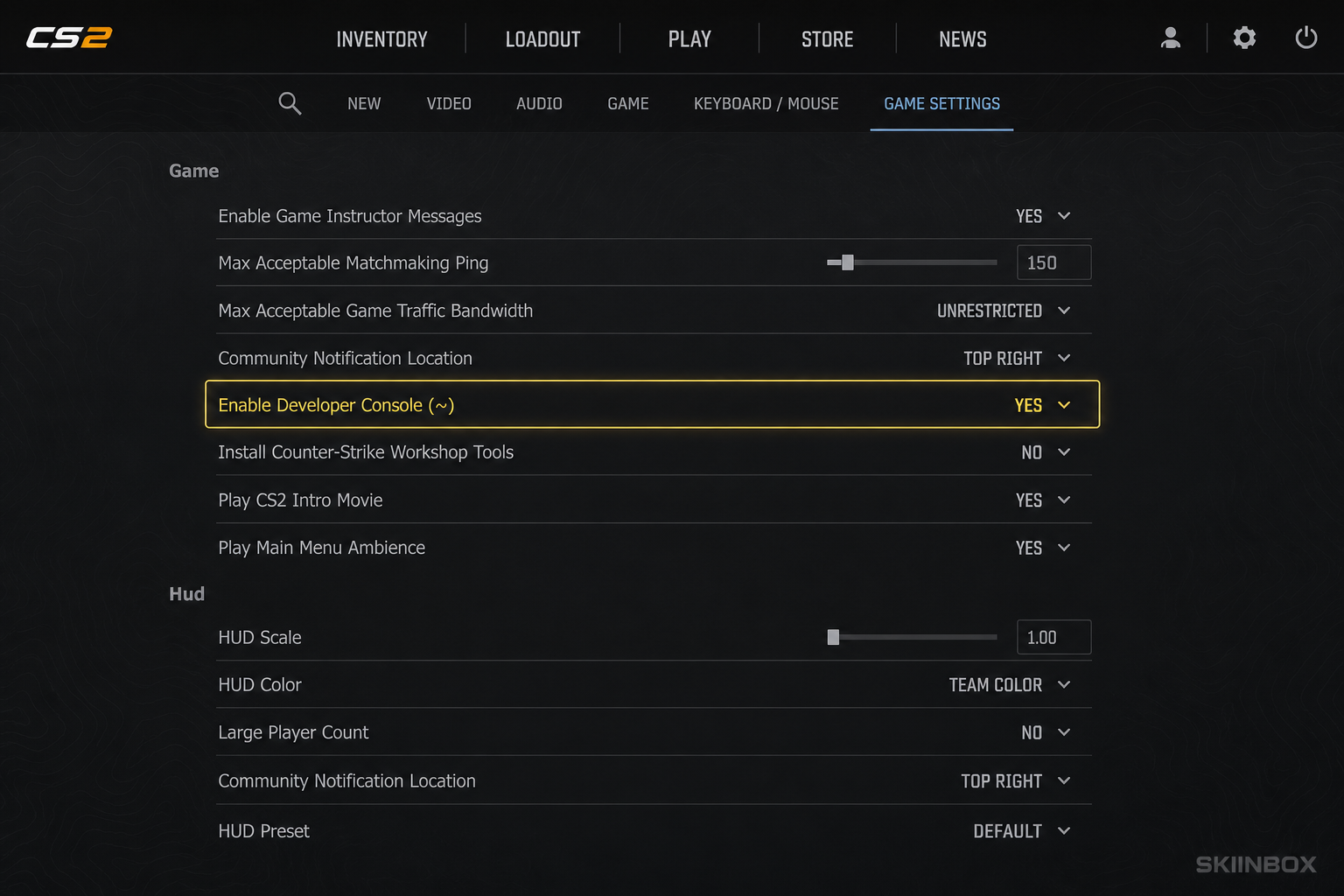 Enable developer console CS2