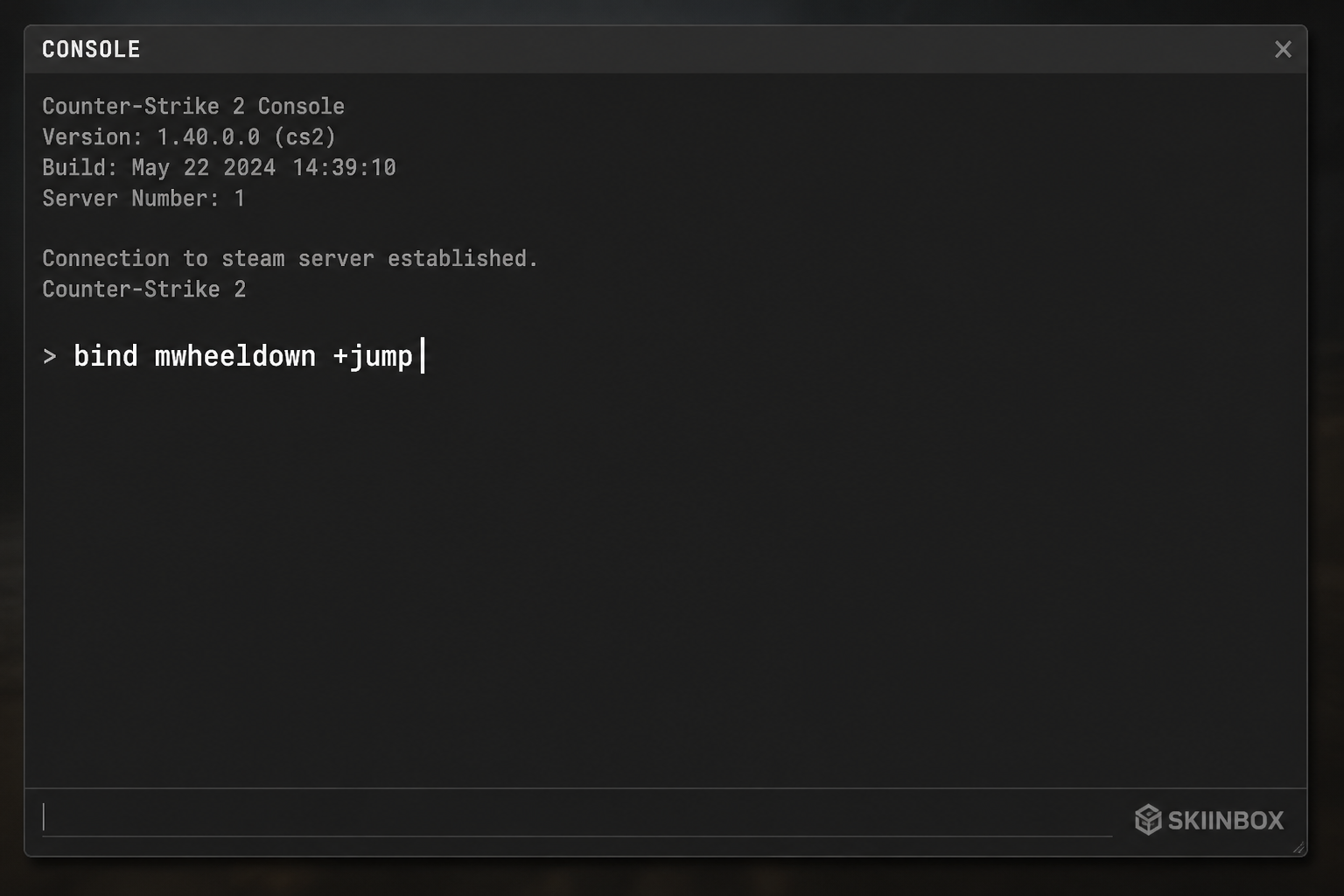 Enter bind command in console