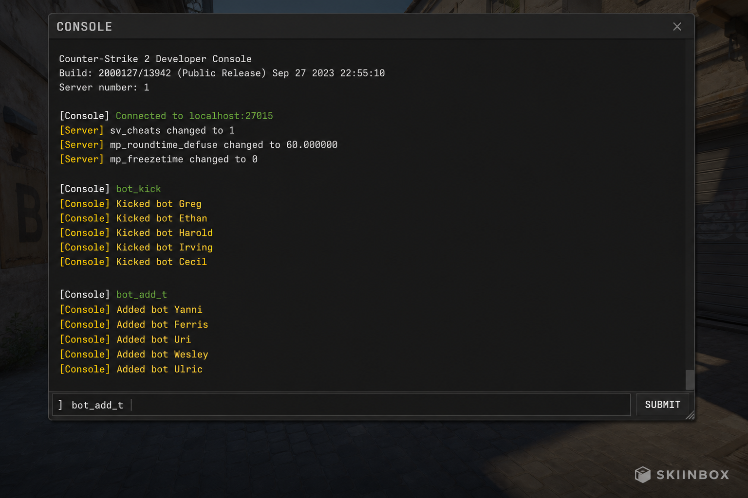 CS2 console bot_add commands