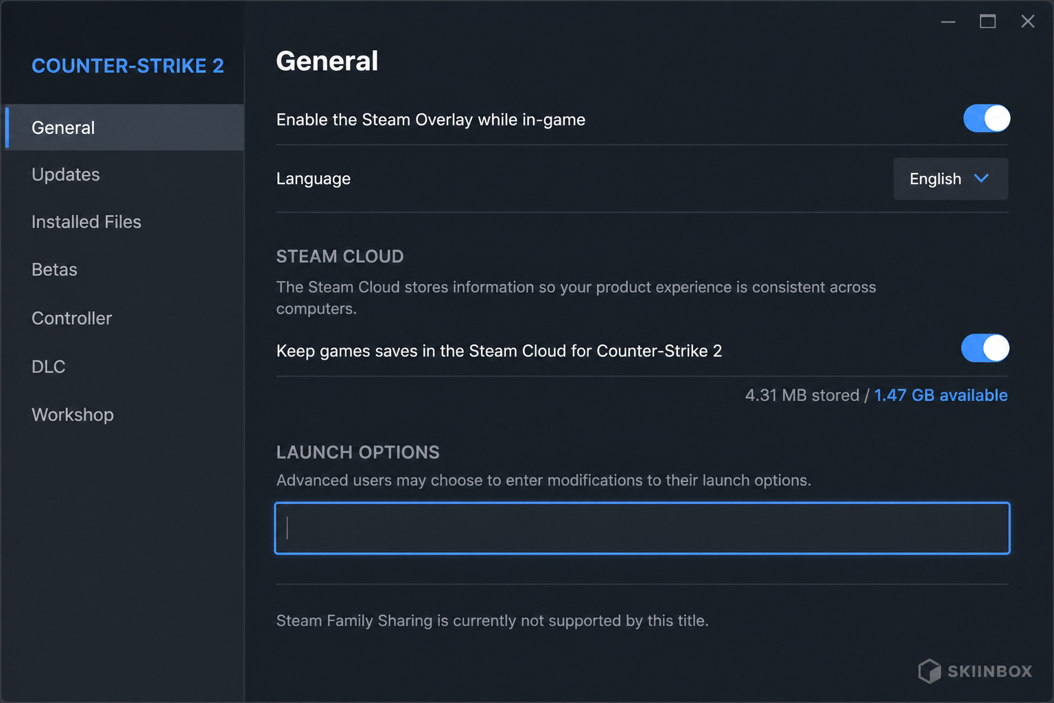 Steam launch options field