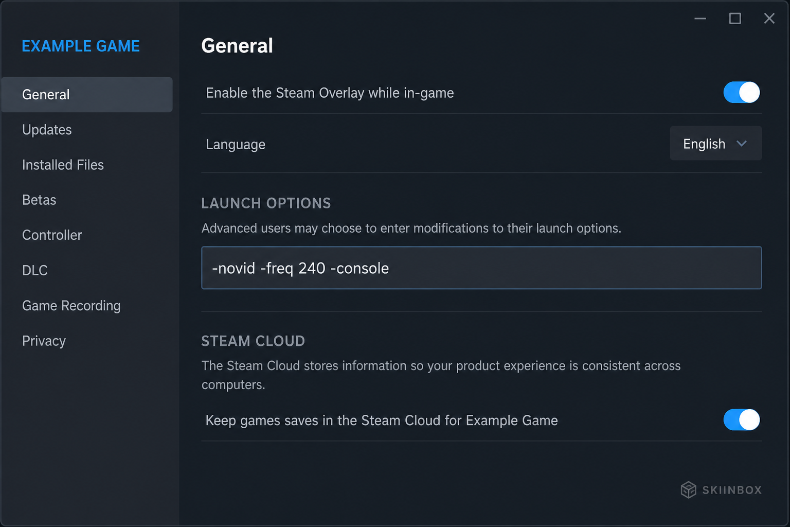 Example CS2 launch options filled